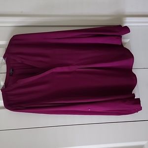 Limited Purple V-neck Blouse